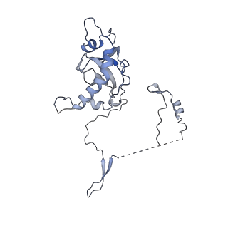 23501_7ls2_H2_v1-1
80S ribosome from mouse bound to eEF2 (Class I)