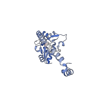 23501_7ls2_I2_v1-1
80S ribosome from mouse bound to eEF2 (Class I)