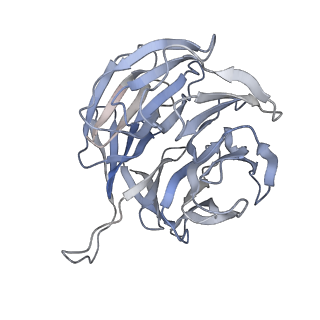 23501_7ls2_I3_v1-1
80S ribosome from mouse bound to eEF2 (Class I)
