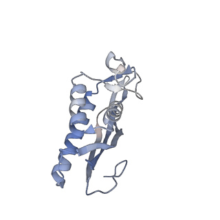 23501_7ls2_J2_v1-1
80S ribosome from mouse bound to eEF2 (Class I)