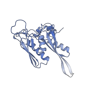 23501_7ls2_J3_v1-1
80S ribosome from mouse bound to eEF2 (Class I)