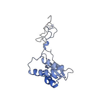 23501_7ls2_K2_v1-1
80S ribosome from mouse bound to eEF2 (Class I)