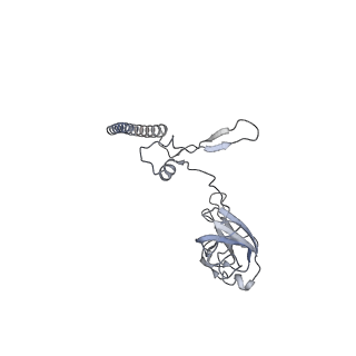 23501_7ls2_K3_v1-1
80S ribosome from mouse bound to eEF2 (Class I)