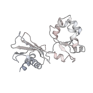23501_7ls2_L1_v1-1
80S ribosome from mouse bound to eEF2 (Class I)