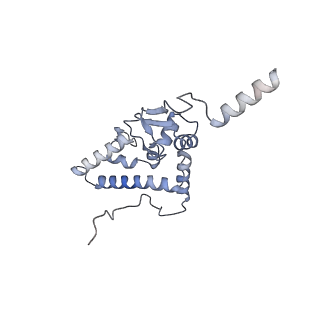 23501_7ls2_L3_v1-1
80S ribosome from mouse bound to eEF2 (Class I)