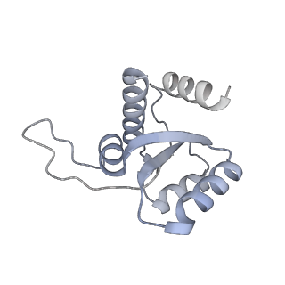23501_7ls2_M3_v1-1
80S ribosome from mouse bound to eEF2 (Class I)