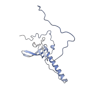 23501_7ls2_N2_v1-1
80S ribosome from mouse bound to eEF2 (Class I)