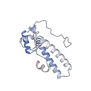 23501_7ls2_N3_v1-1
80S ribosome from mouse bound to eEF2 (Class I)