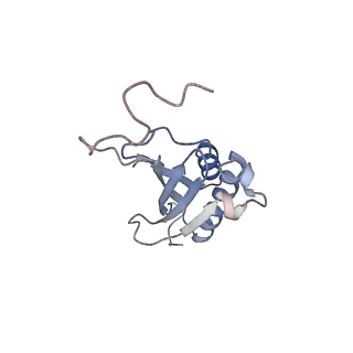 23501_7ls2_O3_v1-1
80S ribosome from mouse bound to eEF2 (Class I)
