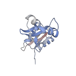 23501_7ls2_P3_v1-1
80S ribosome from mouse bound to eEF2 (Class I)