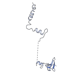 23501_7ls2_Q2_v1-1
80S ribosome from mouse bound to eEF2 (Class I)