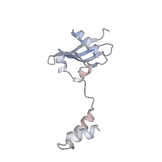 23501_7ls2_Q3_v1-1
80S ribosome from mouse bound to eEF2 (Class I)