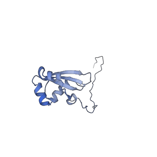 23501_7ls2_R2_v1-1
80S ribosome from mouse bound to eEF2 (Class I)