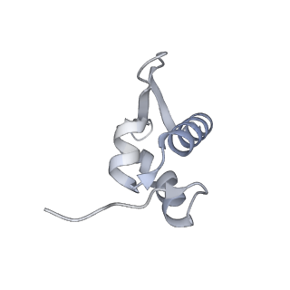23501_7ls2_R3_v1-1
80S ribosome from mouse bound to eEF2 (Class I)