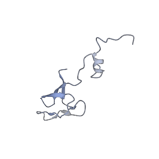 23501_7ls2_S3_v1-1
80S ribosome from mouse bound to eEF2 (Class I)