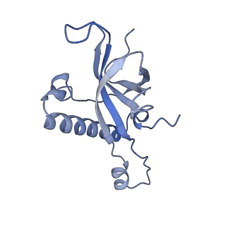 23501_7ls2_T2_v1-1
80S ribosome from mouse bound to eEF2 (Class I)