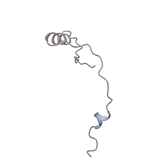 23501_7ls2_T3_v1-1
80S ribosome from mouse bound to eEF2 (Class I)
