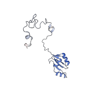 23501_7ls2_U2_v1-1
80S ribosome from mouse bound to eEF2 (Class I)