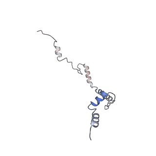 23501_7ls2_V2_v1-1
80S ribosome from mouse bound to eEF2 (Class I)