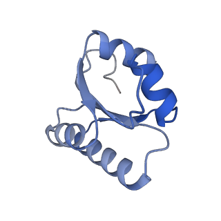 23501_7ls2_W2_v1-1
80S ribosome from mouse bound to eEF2 (Class I)