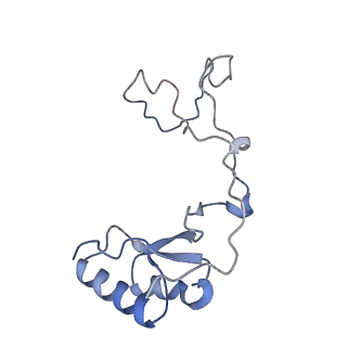 23501_7ls2_Y2_v1-1
80S ribosome from mouse bound to eEF2 (Class I)