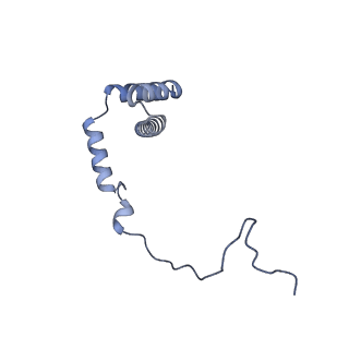 23501_7ls2_c2_v1-1
80S ribosome from mouse bound to eEF2 (Class I)