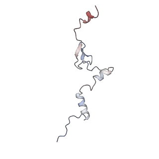 23501_7ls2_d2_v1-1
80S ribosome from mouse bound to eEF2 (Class I)