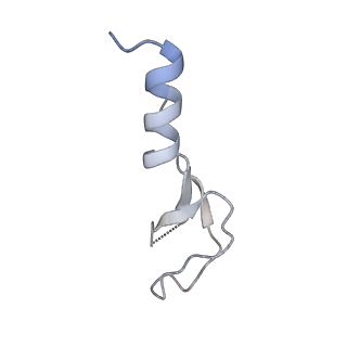 23501_7ls2_g2_v1-1
80S ribosome from mouse bound to eEF2 (Class I)