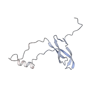 23501_7ls2_i2_v1-1
80S ribosome from mouse bound to eEF2 (Class I)