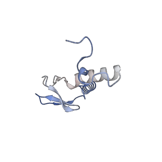 23501_7ls2_j2_v1-1
80S ribosome from mouse bound to eEF2 (Class I)