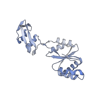 23501_7ls2_j_v1-1
80S ribosome from mouse bound to eEF2 (Class I)