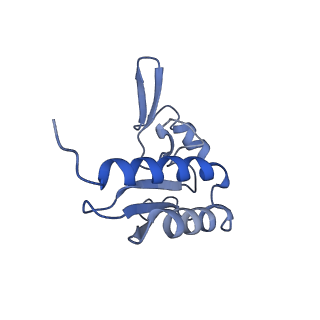 23501_7ls2_k2_v1-1
80S ribosome from mouse bound to eEF2 (Class I)