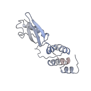 23501_7ls2_k_v1-1
80S ribosome from mouse bound to eEF2 (Class I)
