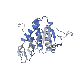 23501_7ls2_o2_v1-1
80S ribosome from mouse bound to eEF2 (Class I)