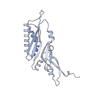 23501_7ls2_p2_v1-1
80S ribosome from mouse bound to eEF2 (Class I)