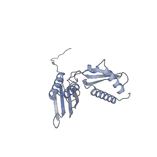 23501_7ls2_q2_v1-1
80S ribosome from mouse bound to eEF2 (Class I)
