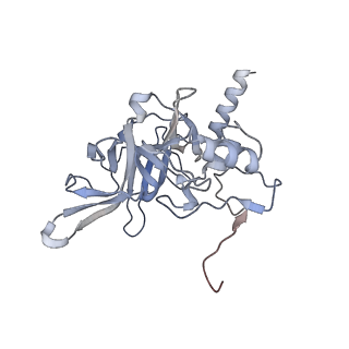 23501_7ls2_r2_v1-1
80S ribosome from mouse bound to eEF2 (Class I)