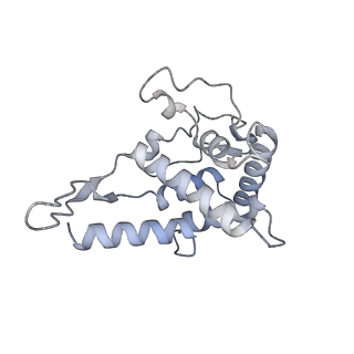 23501_7ls2_s2_v1-1
80S ribosome from mouse bound to eEF2 (Class I)