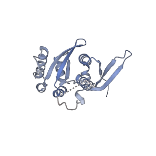 23501_7ls2_t_v1-1
80S ribosome from mouse bound to eEF2 (Class I)