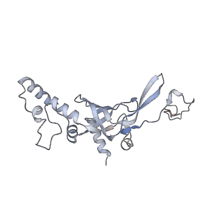 23501_7ls2_u_v1-1
80S ribosome from mouse bound to eEF2 (Class I)