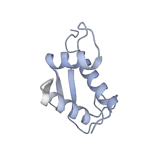23501_7ls2_v2_v1-1
80S ribosome from mouse bound to eEF2 (Class I)