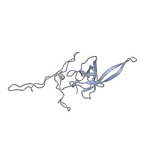 23501_7ls2_w2_v1-1
80S ribosome from mouse bound to eEF2 (Class I)