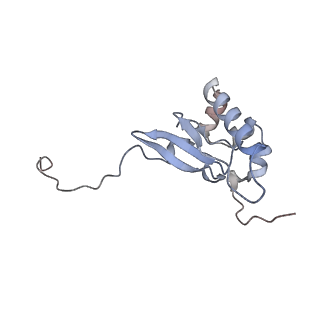 23501_7ls2_x2_v1-1
80S ribosome from mouse bound to eEF2 (Class I)