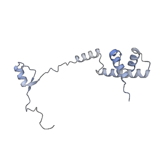 23501_7ls2_z2_v1-1
80S ribosome from mouse bound to eEF2 (Class I)