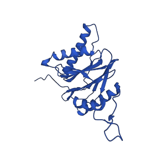 23502_7ls5_1_v1-2
Cryo-EM structure of the Pre3-1 20S proteasome core particle