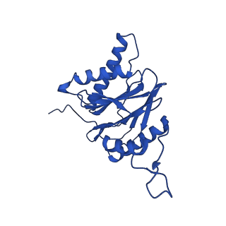 23502_7ls5_1_v1-3
Cryo-EM structure of the Pre3-1 20S proteasome core particle