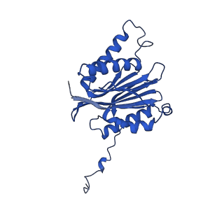 23502_7ls5_2_v1-2
Cryo-EM structure of the Pre3-1 20S proteasome core particle