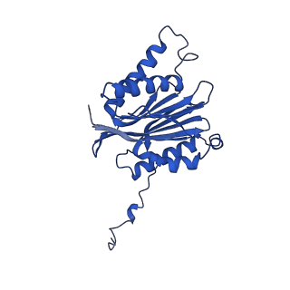 23502_7ls5_2_v1-3
Cryo-EM structure of the Pre3-1 20S proteasome core particle