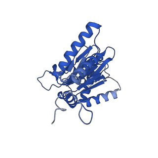 23502_7ls5_A_v1-2
Cryo-EM structure of the Pre3-1 20S proteasome core particle