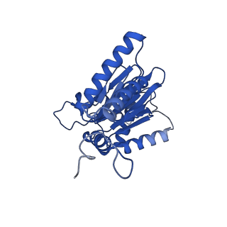 23502_7ls5_A_v1-3
Cryo-EM structure of the Pre3-1 20S proteasome core particle